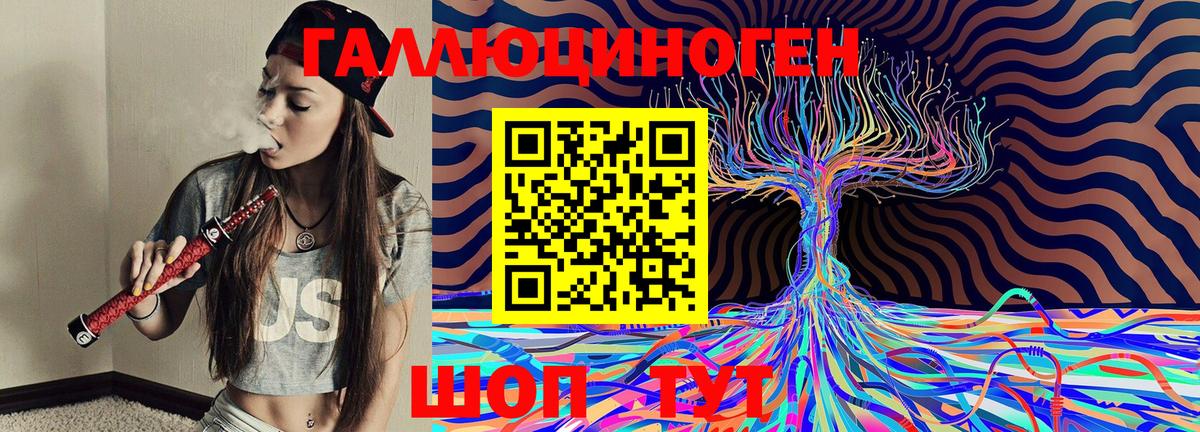 Галлюциногенные грибы Cubensis Сафоново